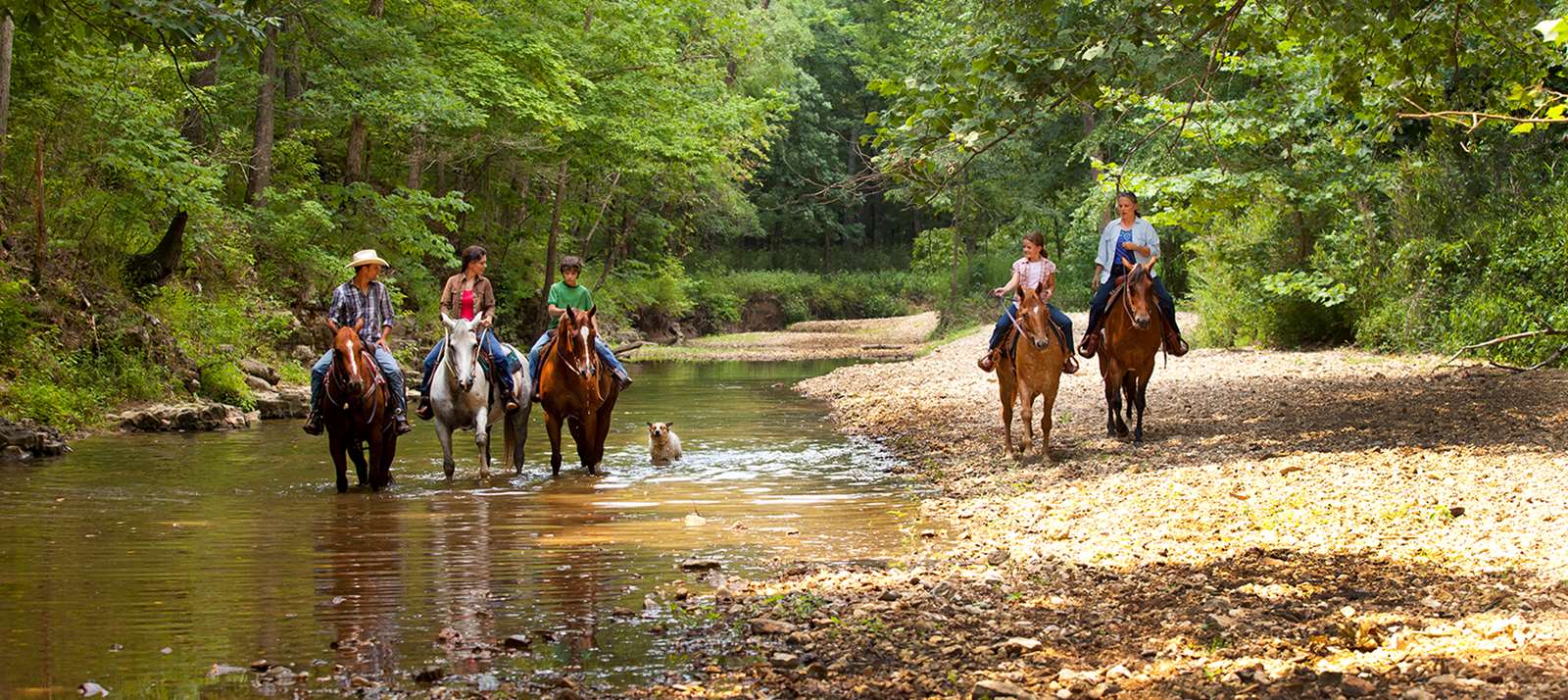 Top 10 Horse-Friendly Cities in the United States for 2024: Where Equestrian Dreams Come True