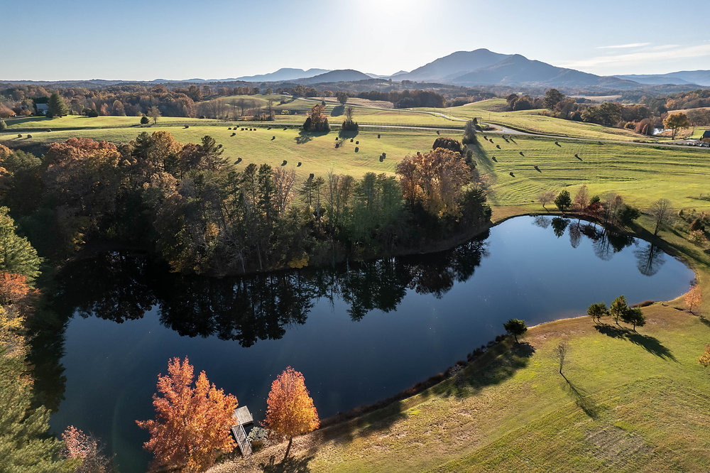 Aerial view of horse farms in top equestrian cities across America with rolling hills and traditional fencing