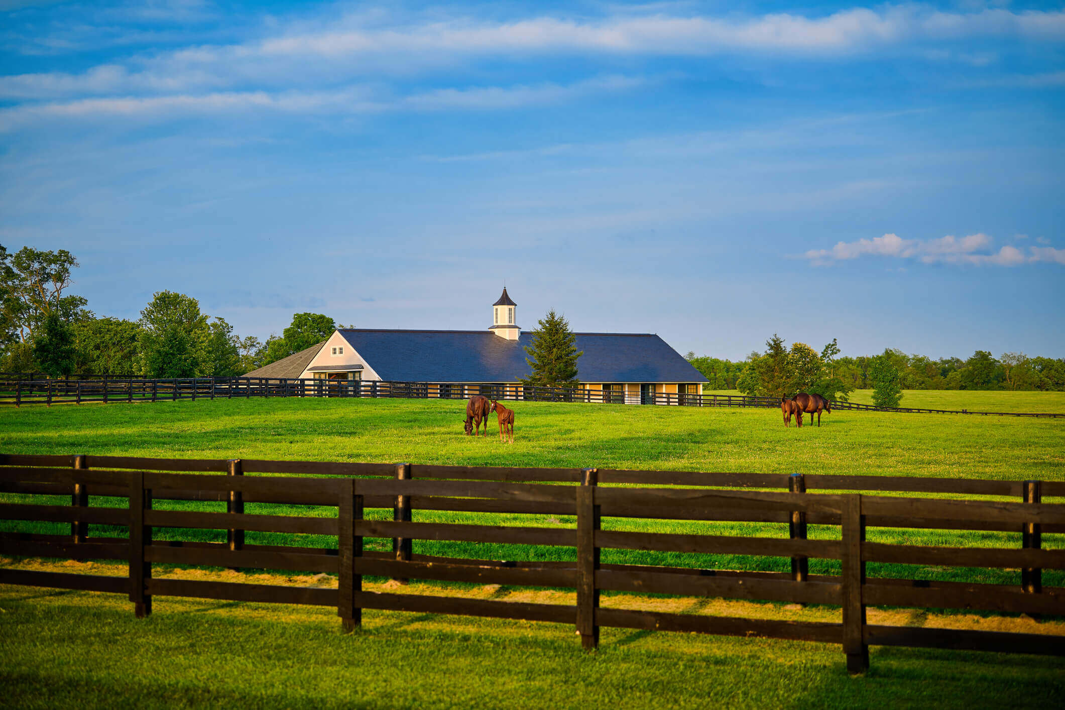 equestrian communities