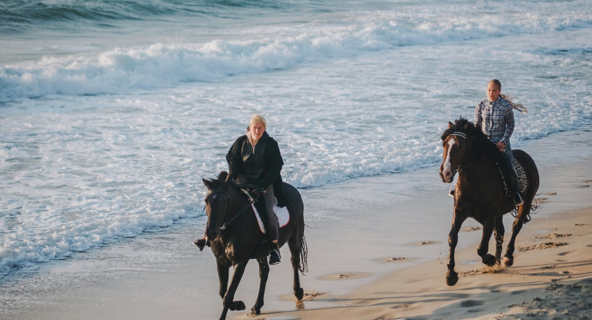 horse-friendly cities