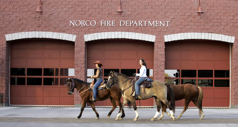 horse-friendly cities