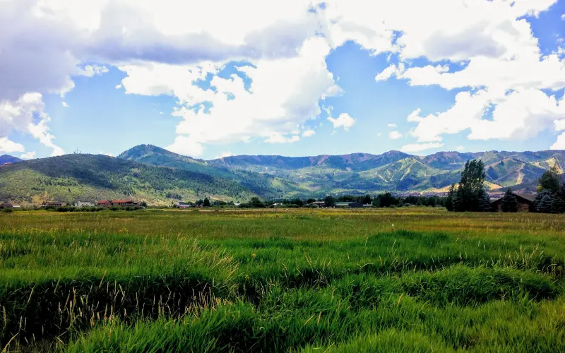 Best Horse-Friendly Cities for Equestrian Living in the US