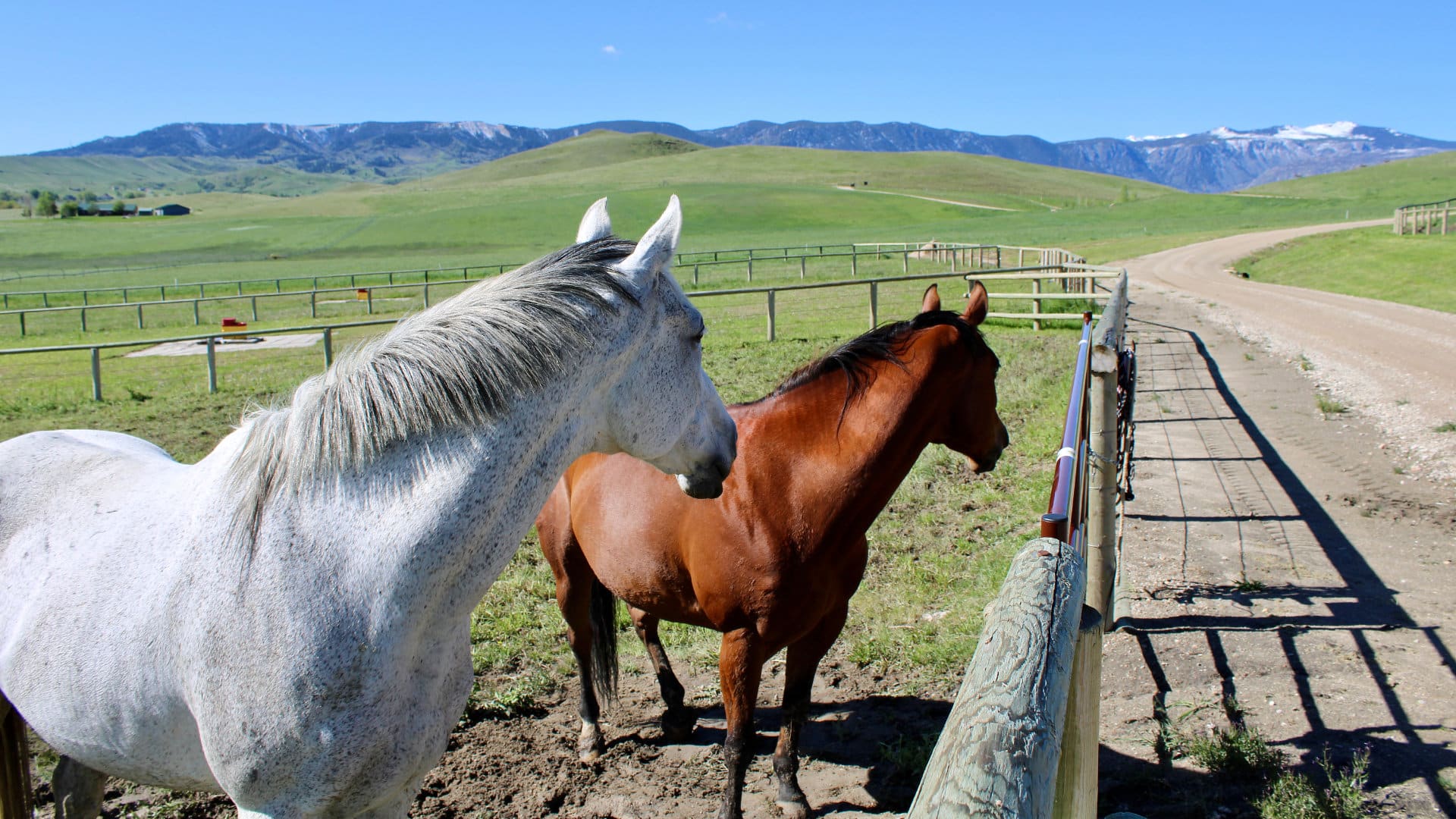 Western vs Eastern United States: Best Horse Property Investment Markets for 2026