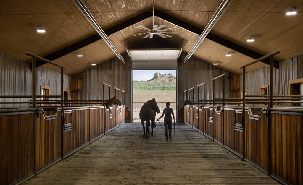 horse properties