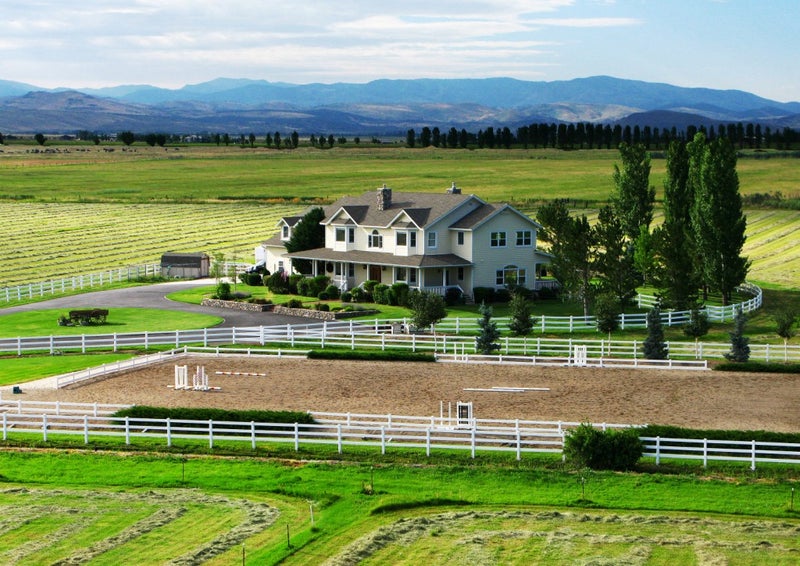 to the Horse Properties