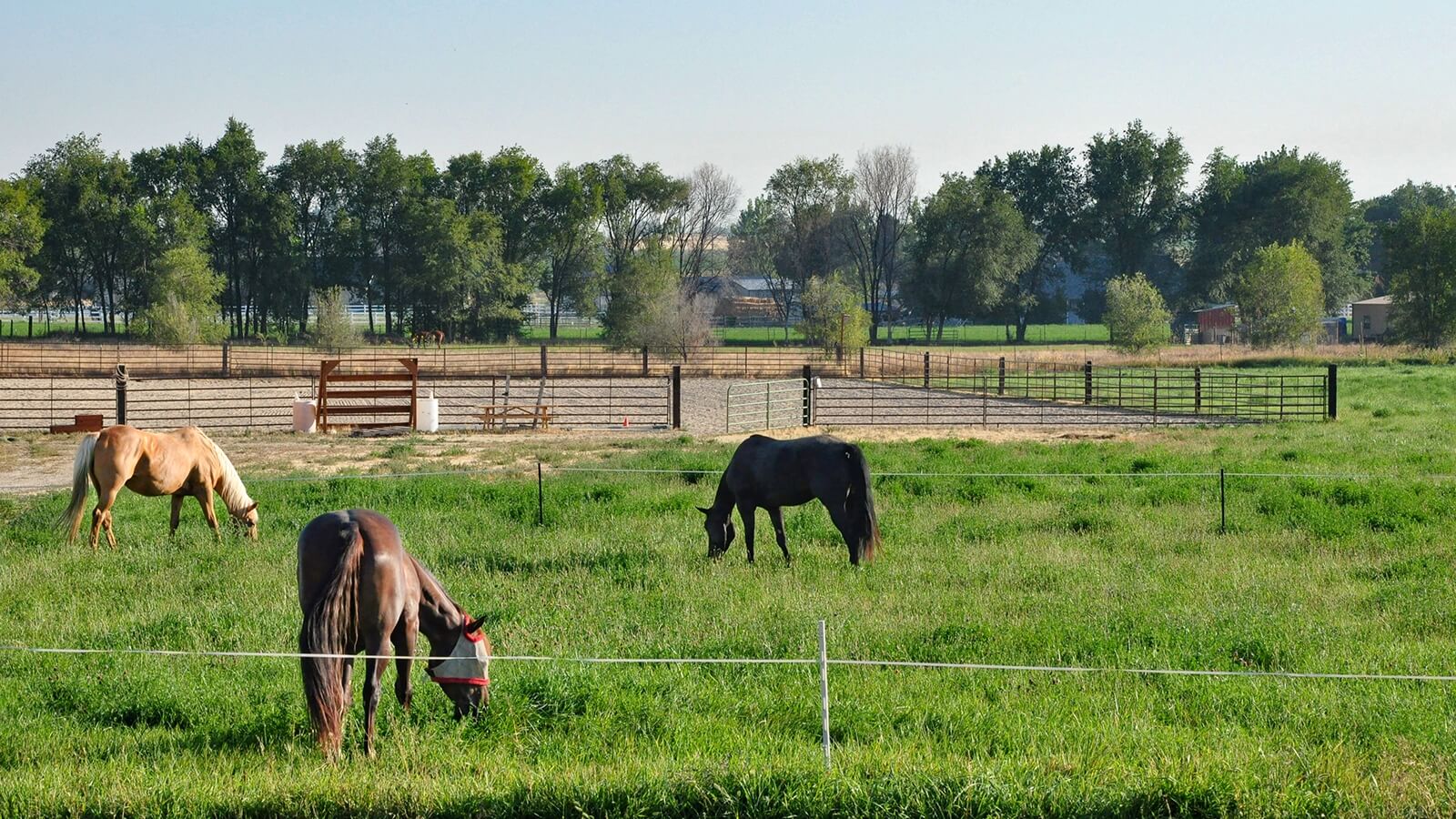 Climate-Resilient Horse Property Features Every Buyer Should Consider in 2026