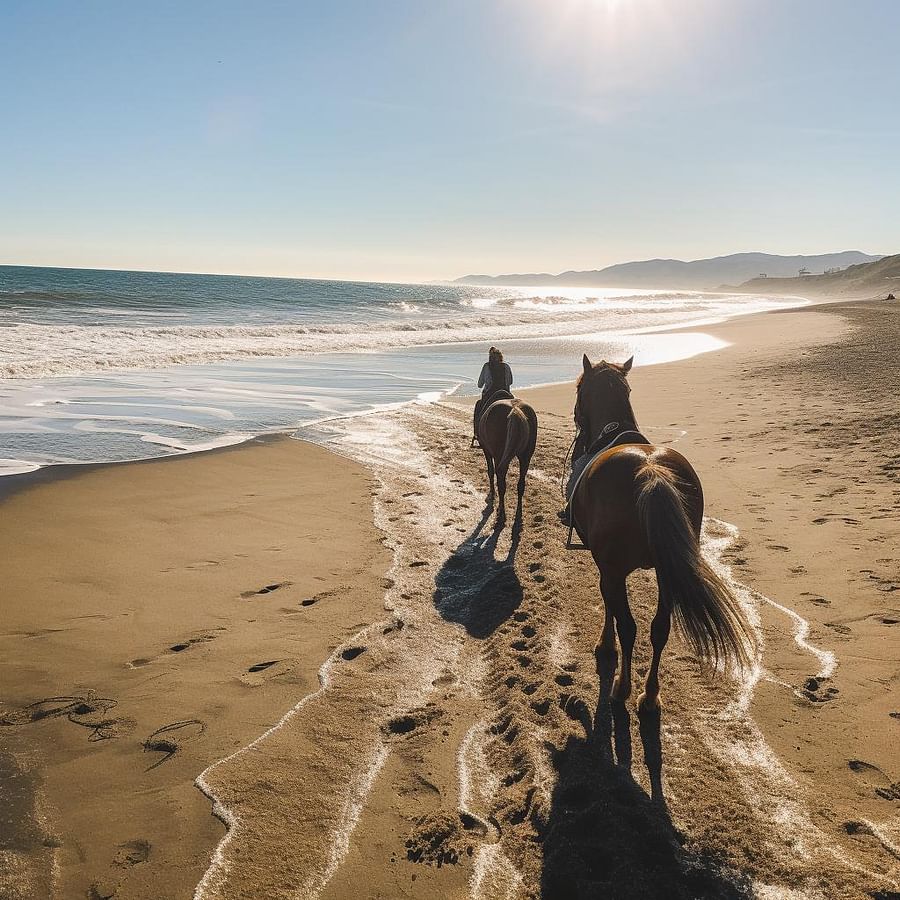 5 Best States to Buy Horse Property Pros, Cons, and Statespecific Perks