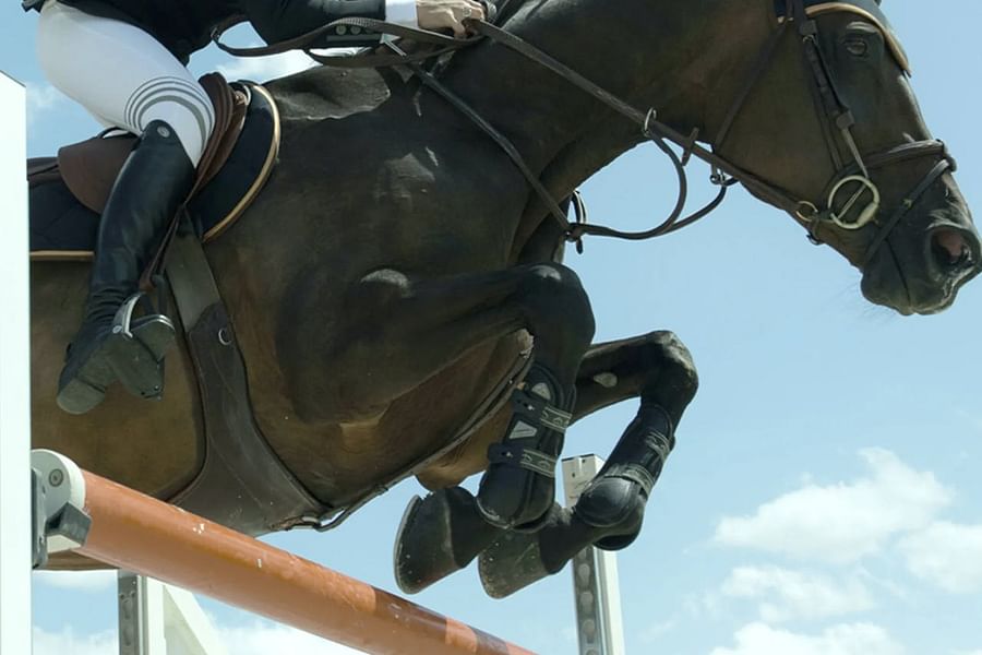 horse riding equipment