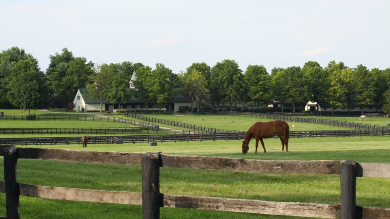 horse farm fencing