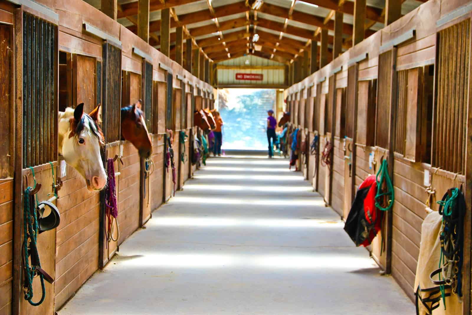 horse stable