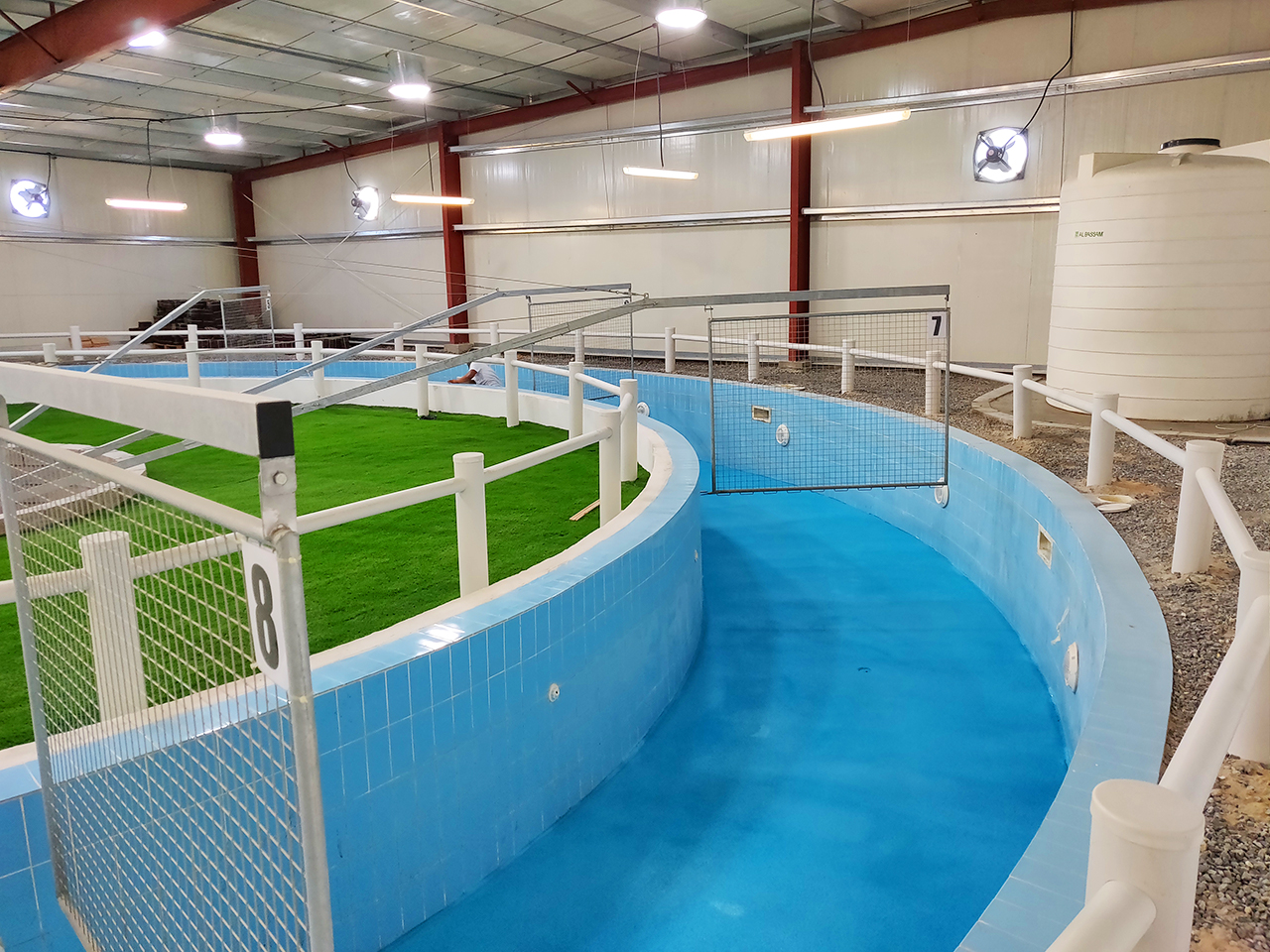 equine hydrotherapy pool