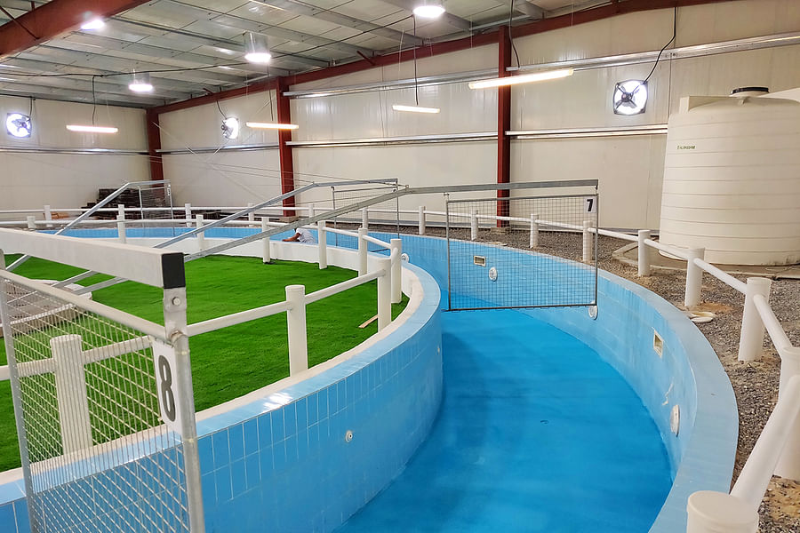 equine hydrotherapy pool