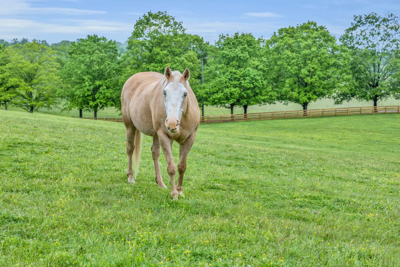 horse property conservation area