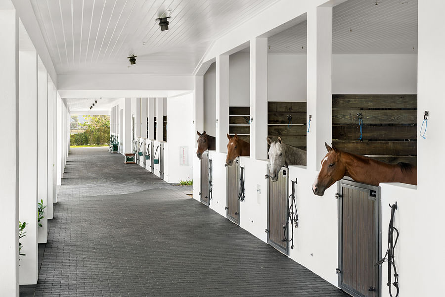 luxury horse stable designs