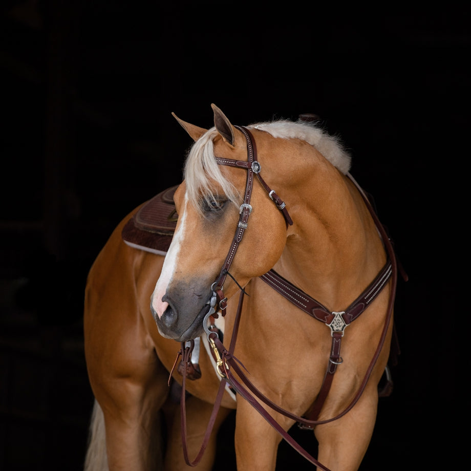 smart barn technology horse