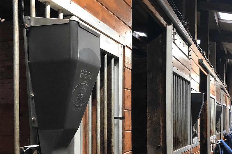 Automated horse feeder