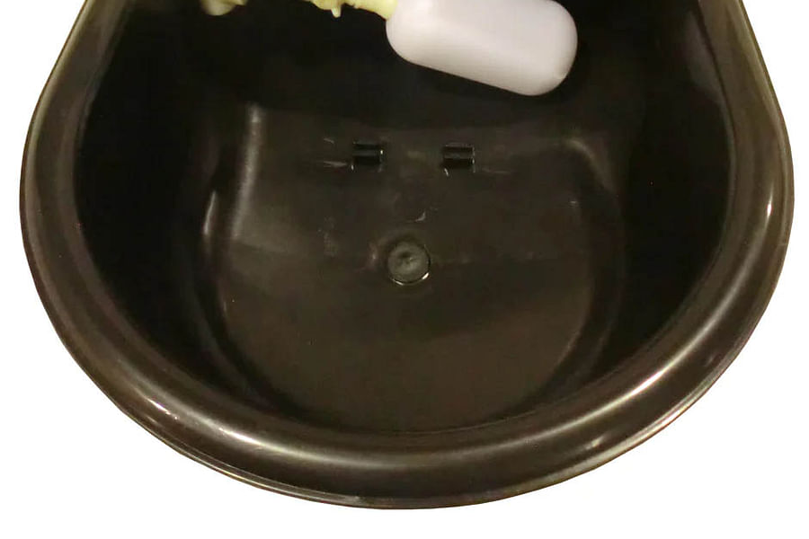 Automated horse waterer