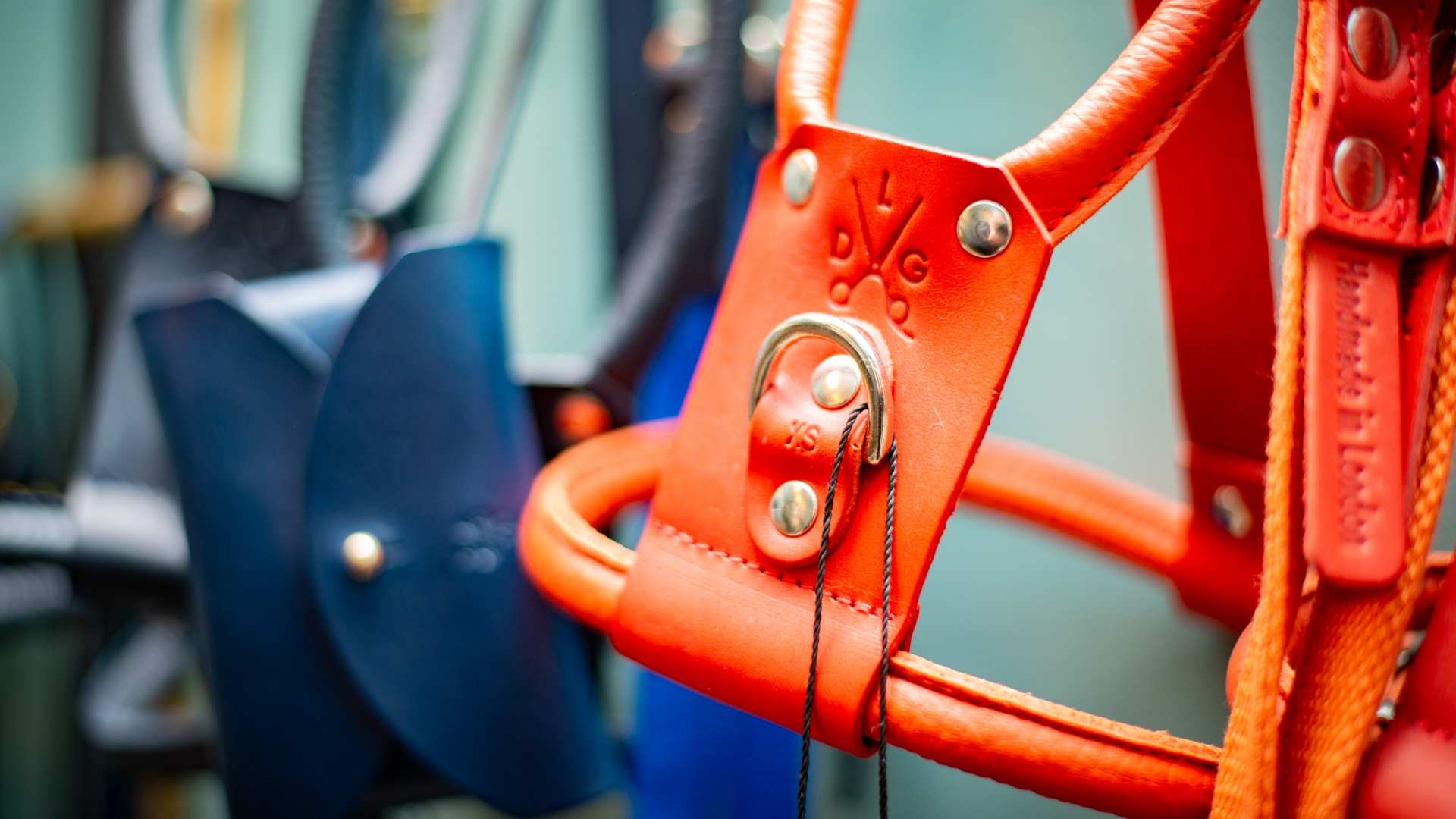 horse spa and grooming services