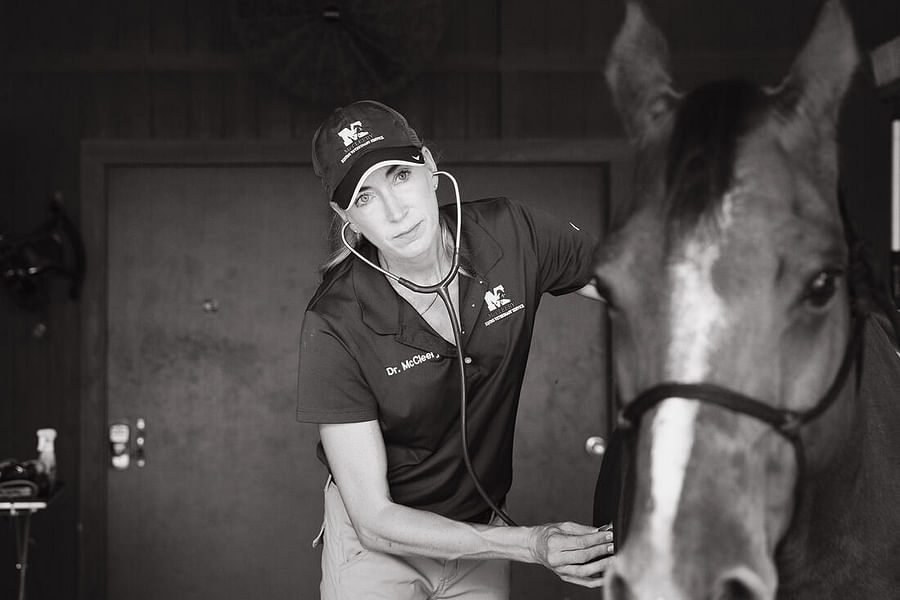 on-site horse veterinary services