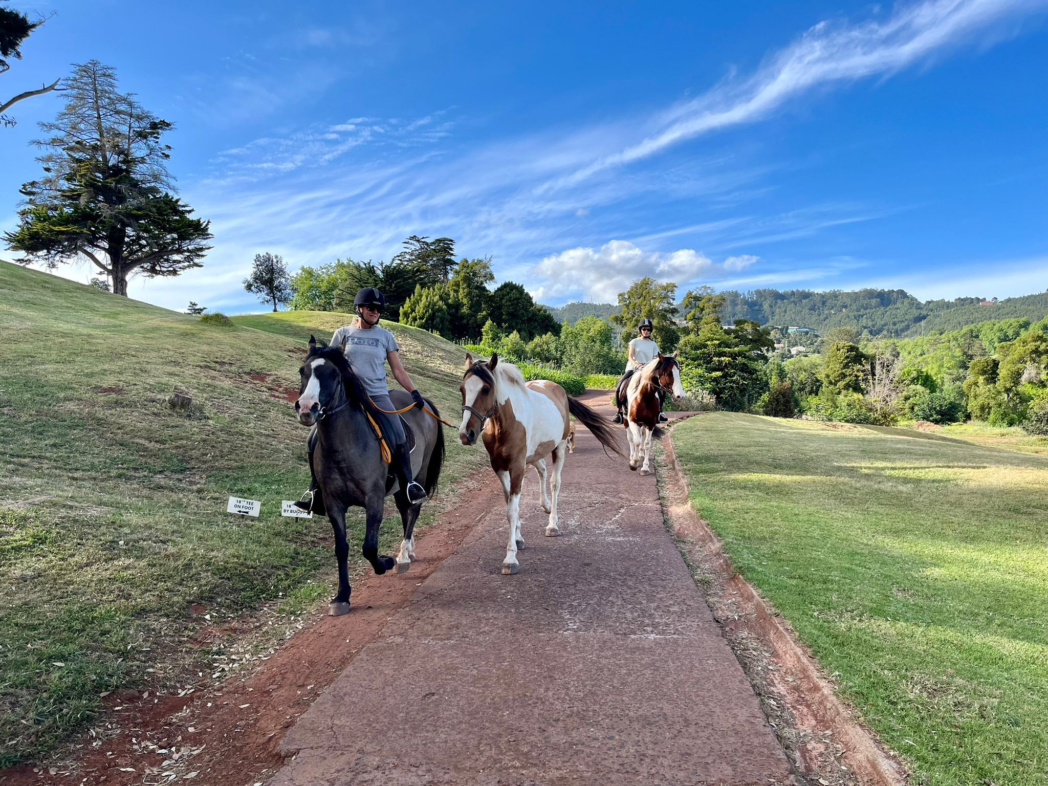 natural trail course for horses