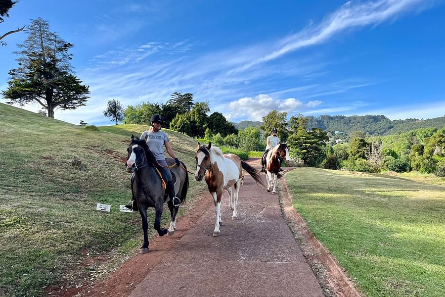 natural trail course for horses