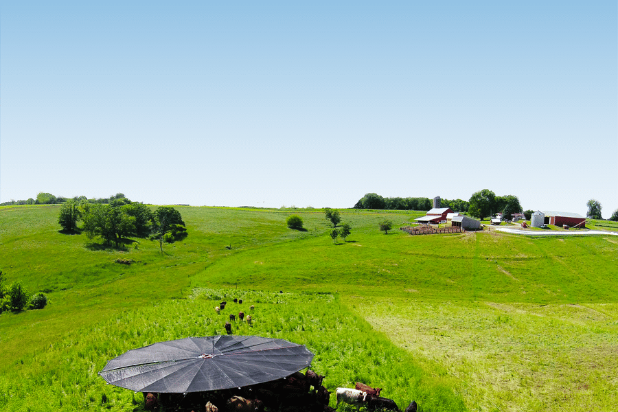 rotational grazing system horse