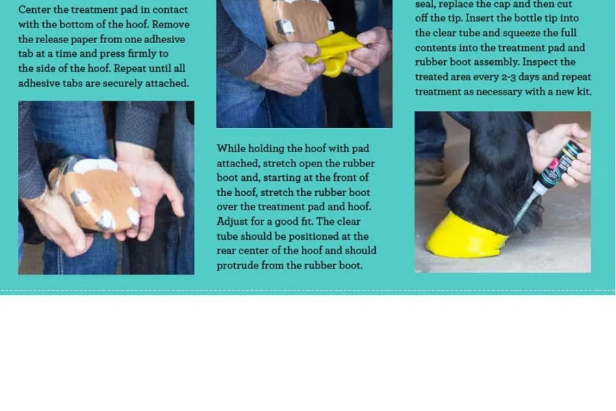 equine hoof care treatments
