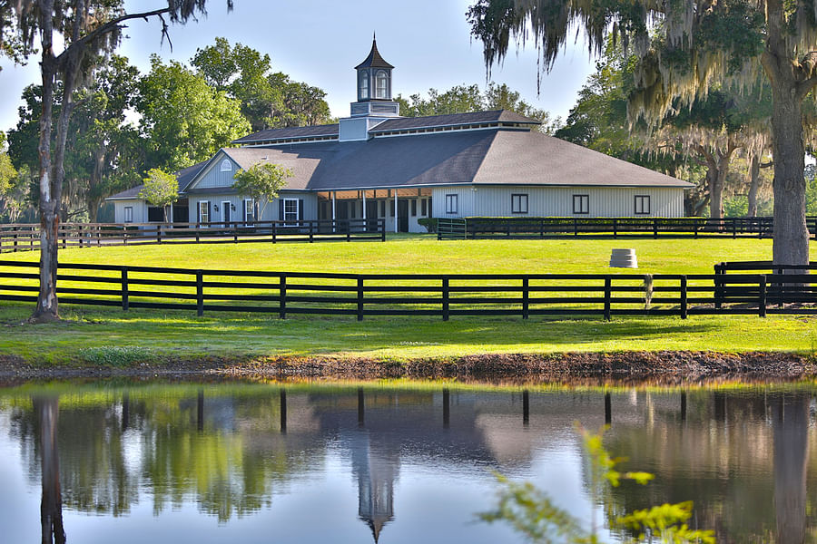 Beautiful horse property number 5 with vast green pastures and modern equestrian facilities