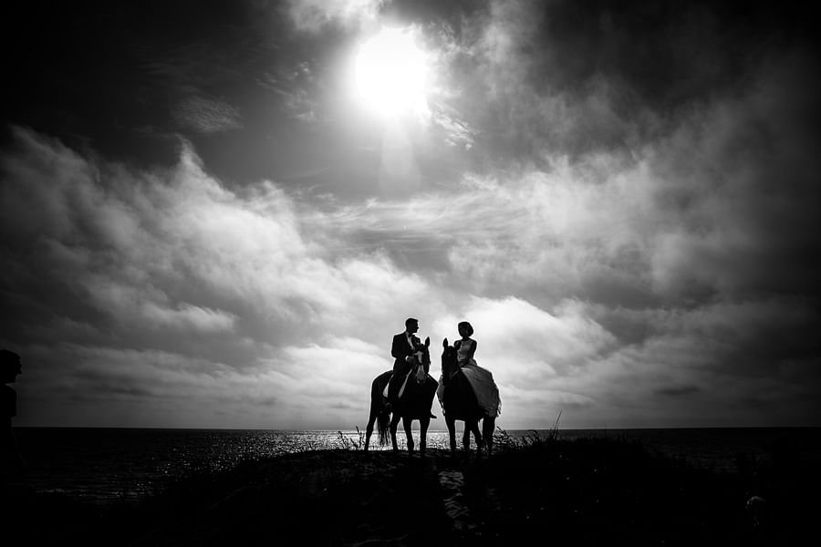 Horses galloping on a beach at sunset, symbolizing the beauty of coastal horse trails in the US