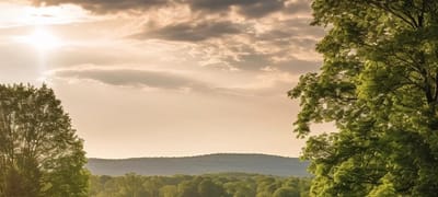 Affordable Horse Living