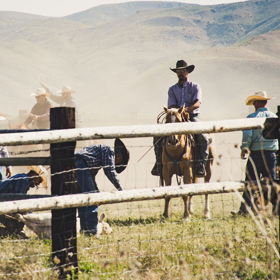 Picturesque horse farm in a rural region of the United States