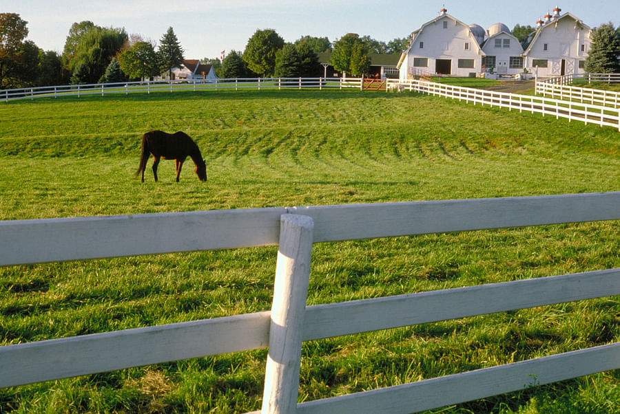 Aerial view of a horse property showcasing different pastures for rotation