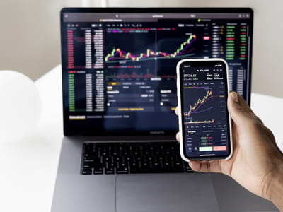 Horse Property Tax Benefits: Maximizing Your Savings and Investment