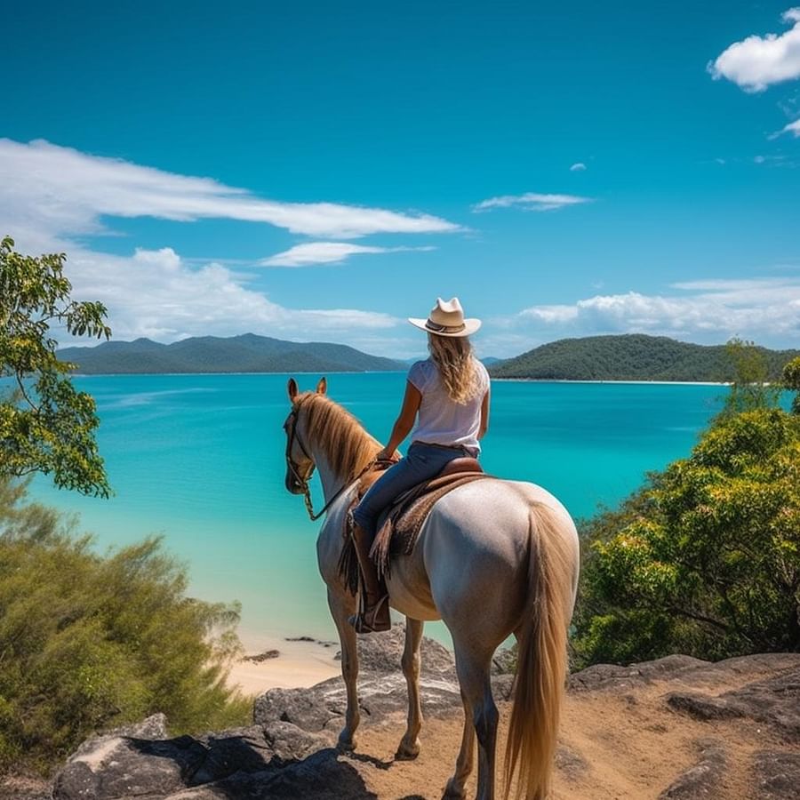 How to Successfully Manage a Horse Boarding Facility Tips, Tricks, and