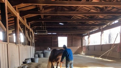 The Ultimate Guide to Horse Property Maintenance and Upkeep for New Owners