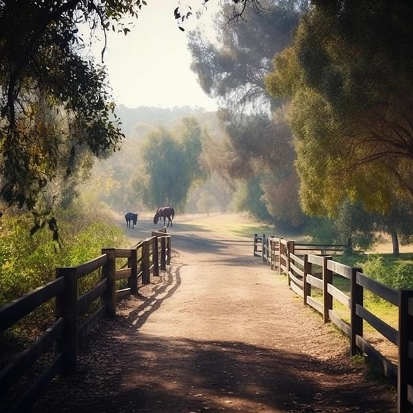 Where to Find the Best Horse Riding Destinations in California for