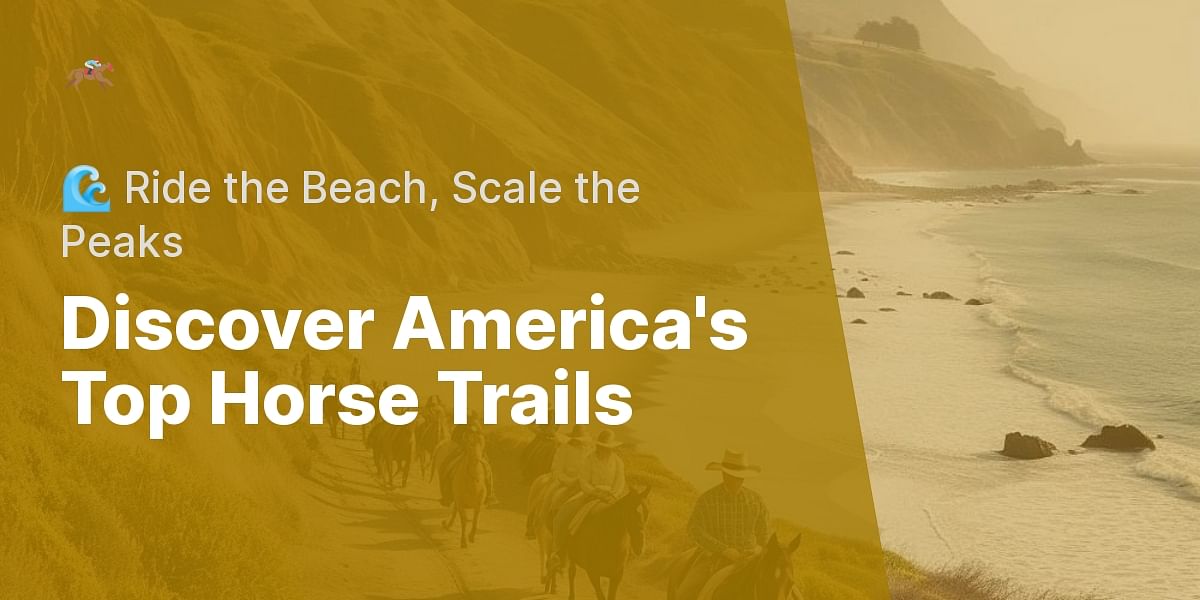 Best Horse Trails in the US From Breathtaking Beach Rides to Stunning