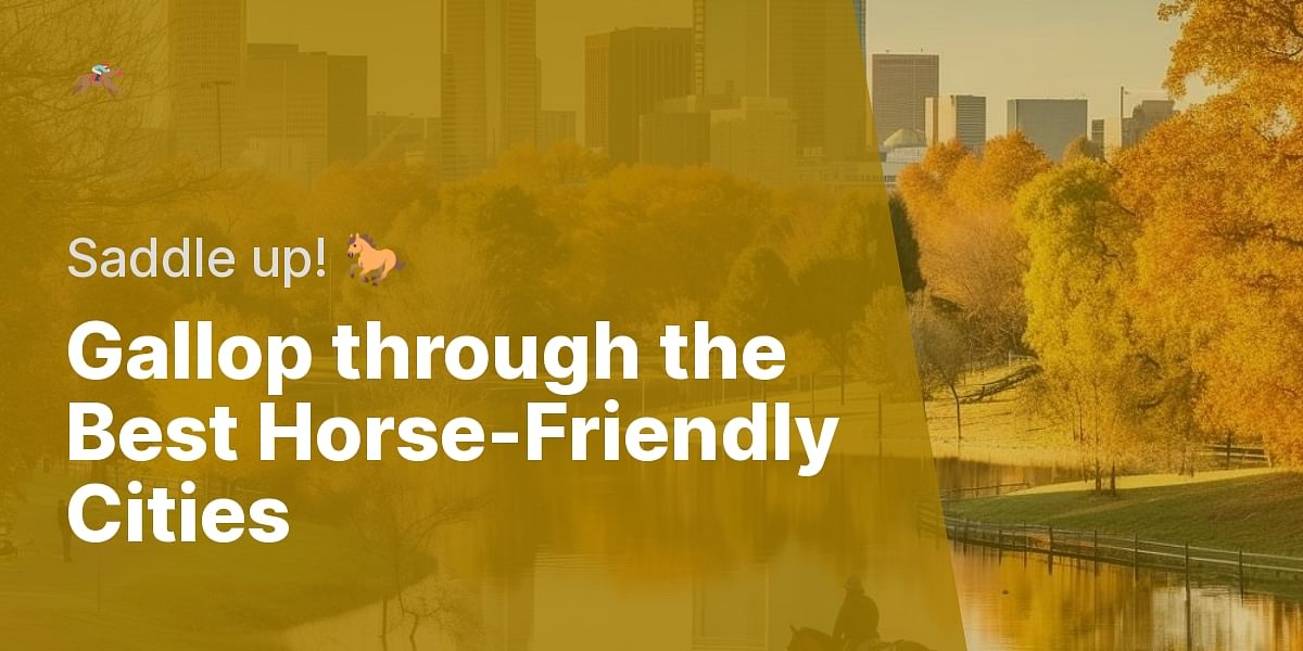 Top 5 HorseFriendly Cities in the United States for Equestrian Enthusiasts