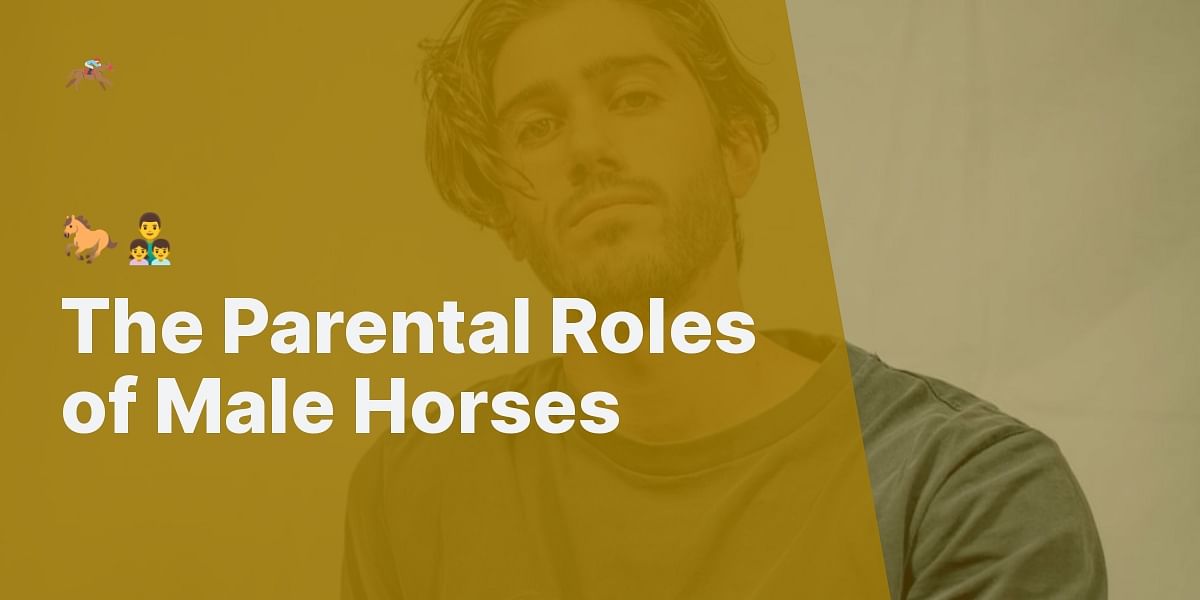 Do Male Horses Take Care of Their Young?