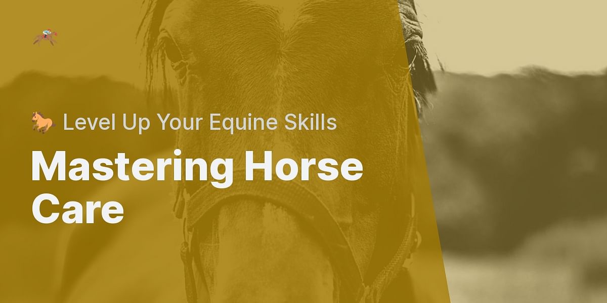 How to Properly Care for a Horse?