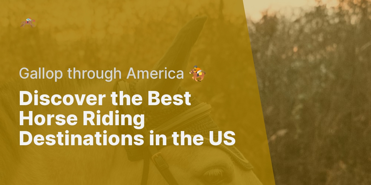 What Are The Top 5 Horse Riding Destinations In The United States?