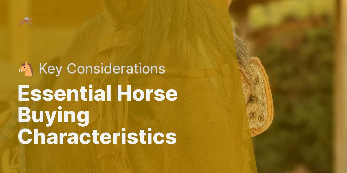 What Characteristics Should You Consider When Buying a Horse?