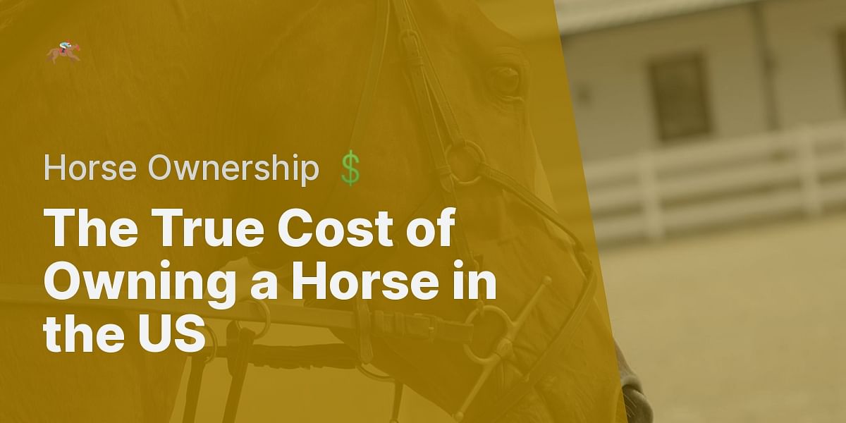 What is the average annual cost of owning a horse in the US?