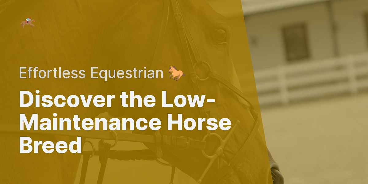 What is the easiest horse breed to take care of and what makes it low