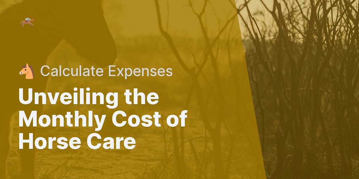 What is the monthly cost of taking care of a horse?