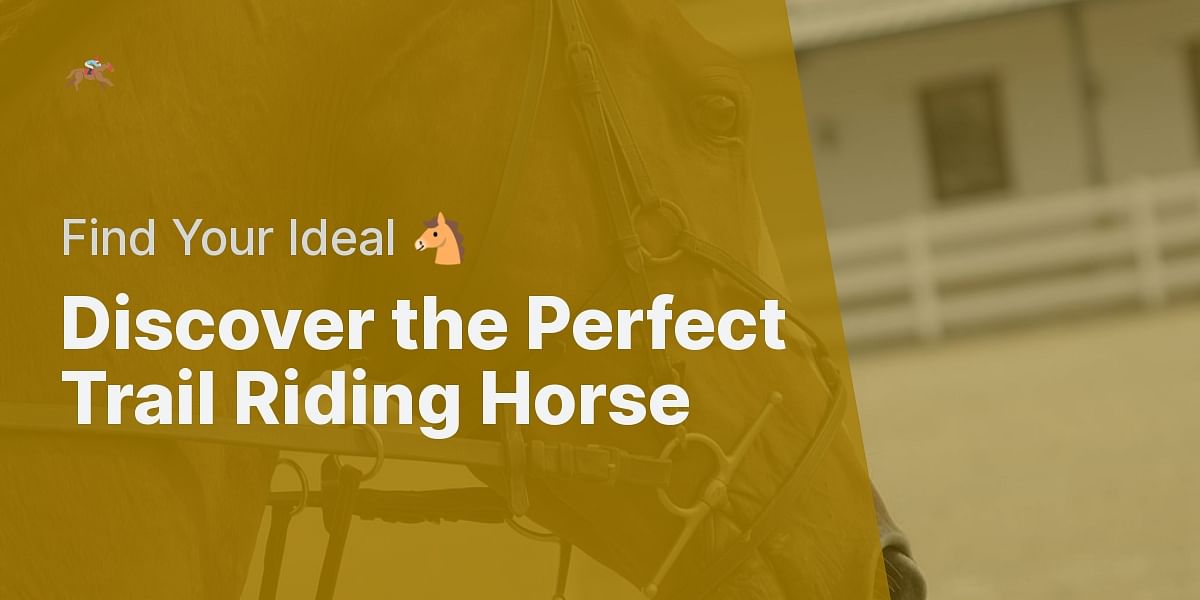 What Type of Horse is Suitable for Trail Riding and Where Can I Find One?