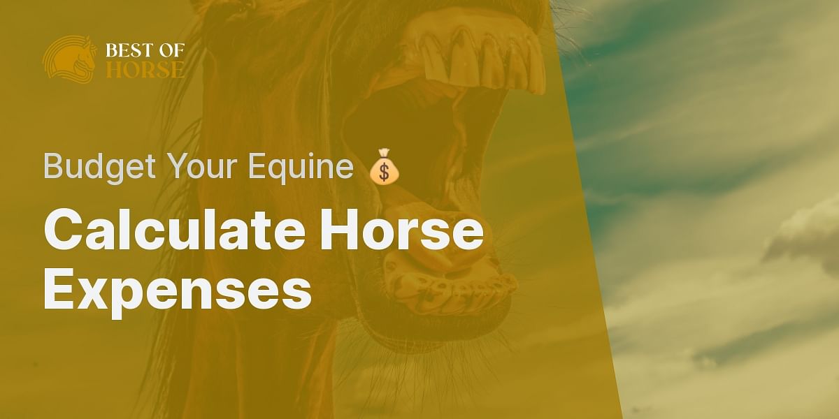 Annual Horse Living Cost Calculator Best of Horse