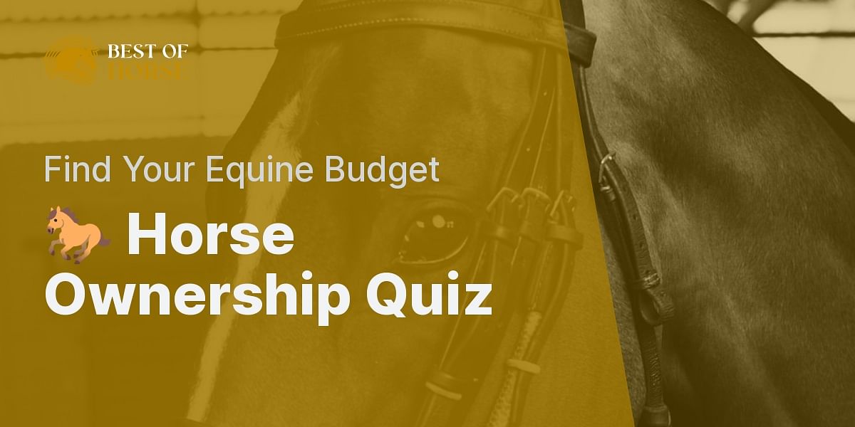 Budgeting for Horse Ownership Quiz Test Your Knowledge