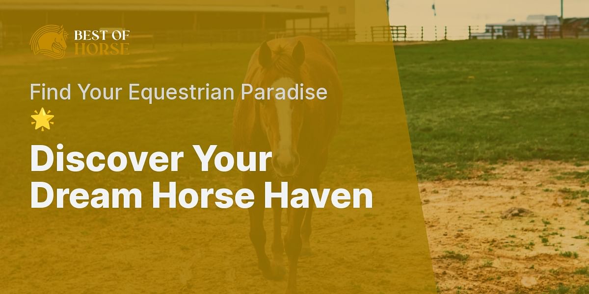 Identifying Your Ideal Horse Town Quiz Best of Horse